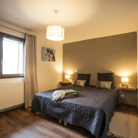 Spacieux 4 Pièces Pour 7 Pers., Terrasse, Garage - Fr-1-676-178 Appartement *